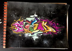 Photo #9565 by Paine