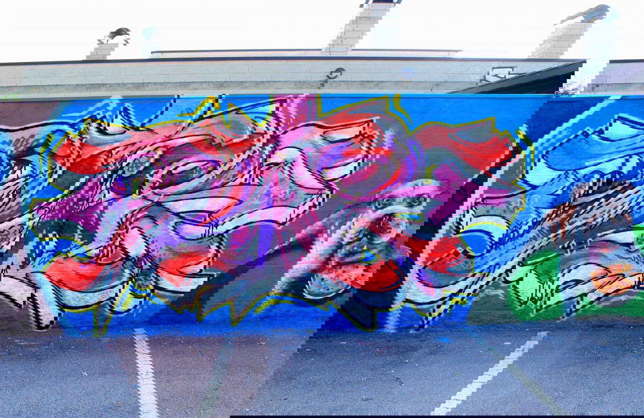 Graffiti Wall in Calcinate - Photo by WizArt - WIZ (2014)