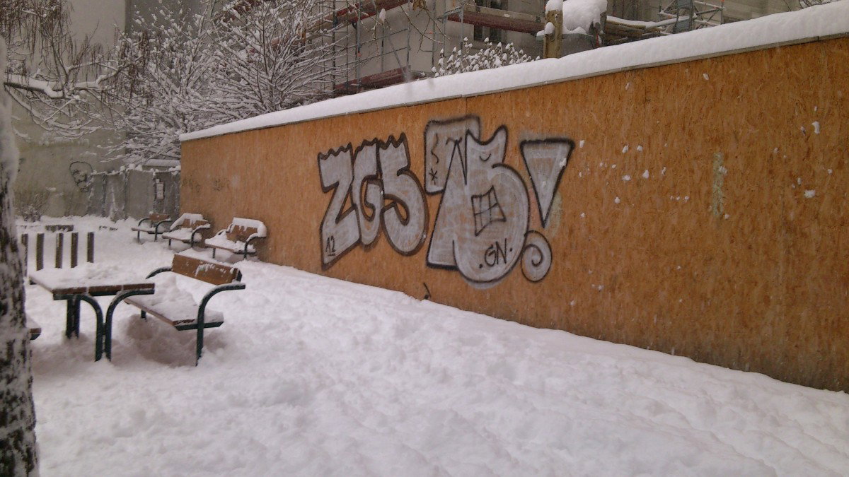 Graffiti Bombing in Vienna - Photo by Wolfneck - street, bombing, wien