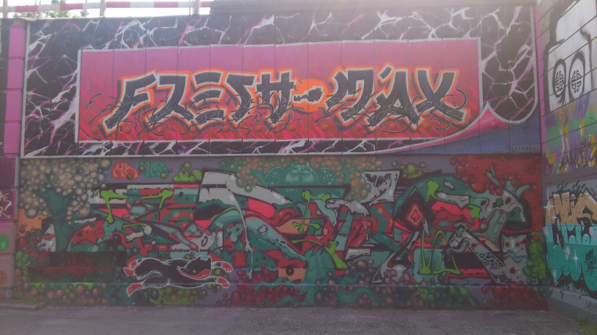 Graffiti Wall in Vienna - Photo by Wolfneck - austria, danube, hall