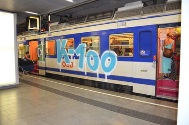 Graffiti Train in Vienna - Photo by Wolfneck - vienna, train, bombing