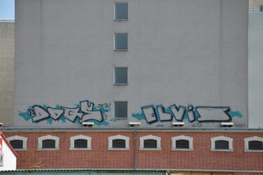 Graffiti Bombing in Vienna - Photo by Wolfneck - vienna, dq, elvis