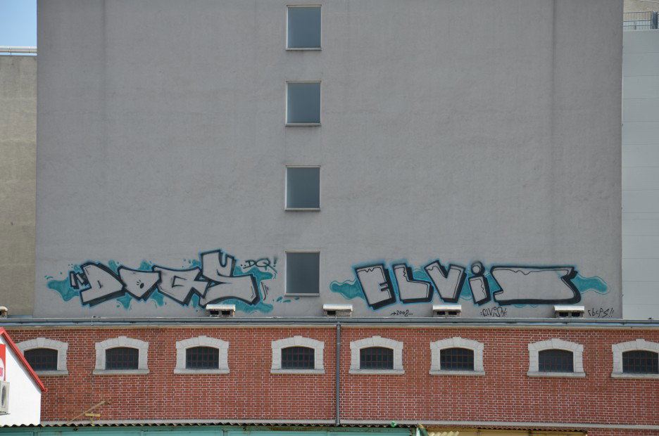 Graffiti Bombing in Vienna - Photo by Wolfneck - vienna, dq, elvis