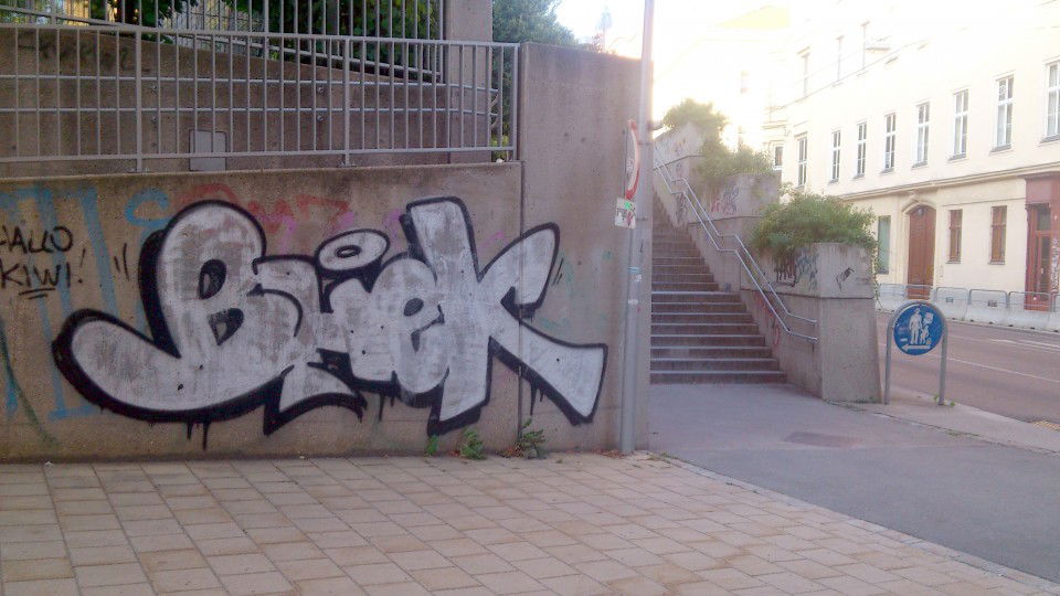 Graffiti Bombing in Vienna - Photo by Wolfneck - street, bombing, wien