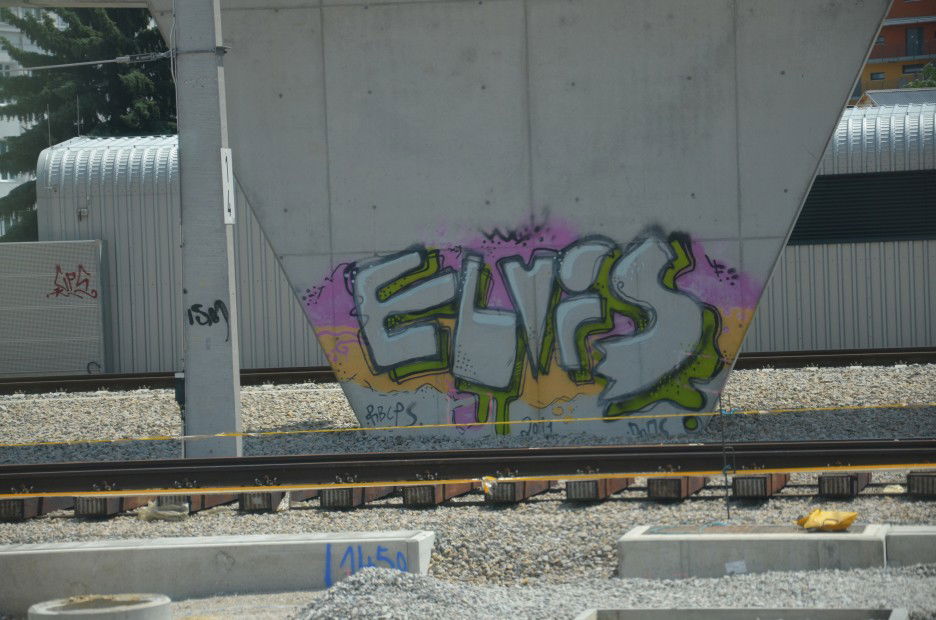 Graffiti Bombing in Vienna - Photo by Wolfneck - elvis, vienna, wien