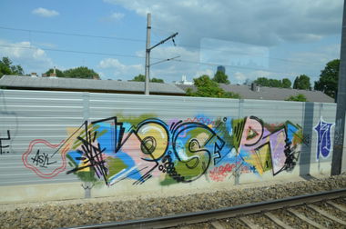 Graffiti Bombing in Vienna - Photo by Wolfneck - loser, lozer, wien