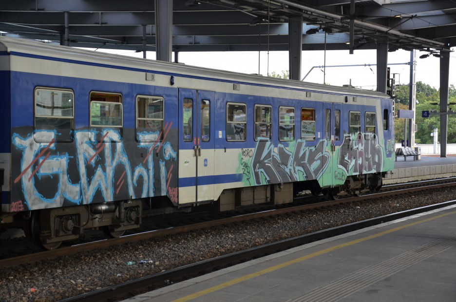 Graffiti Train in Vienna - Photo by Wolfneck - sbahn, wien, vienna
