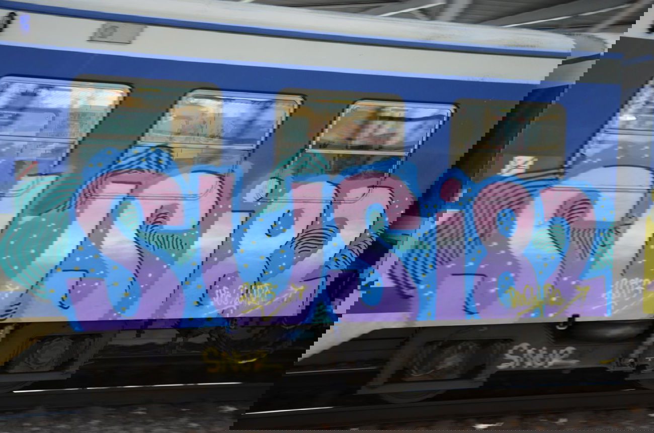 Graffiti Train in Vienna - Photo by Wolfneck - train, sbahn, graffiti