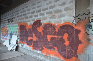 Graffiti Bombing in Vienna - Photo by Wolfneck - deseo, graffiti, tunnel