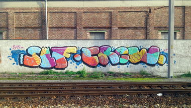 Graffiti Bombing in Vienna - Photo by Wolfneck - slf, crew, graffiti