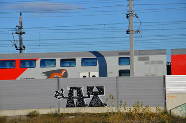 Graffiti Bombing in Vienna - Photo by Wolfneck - line, graffiti, ay