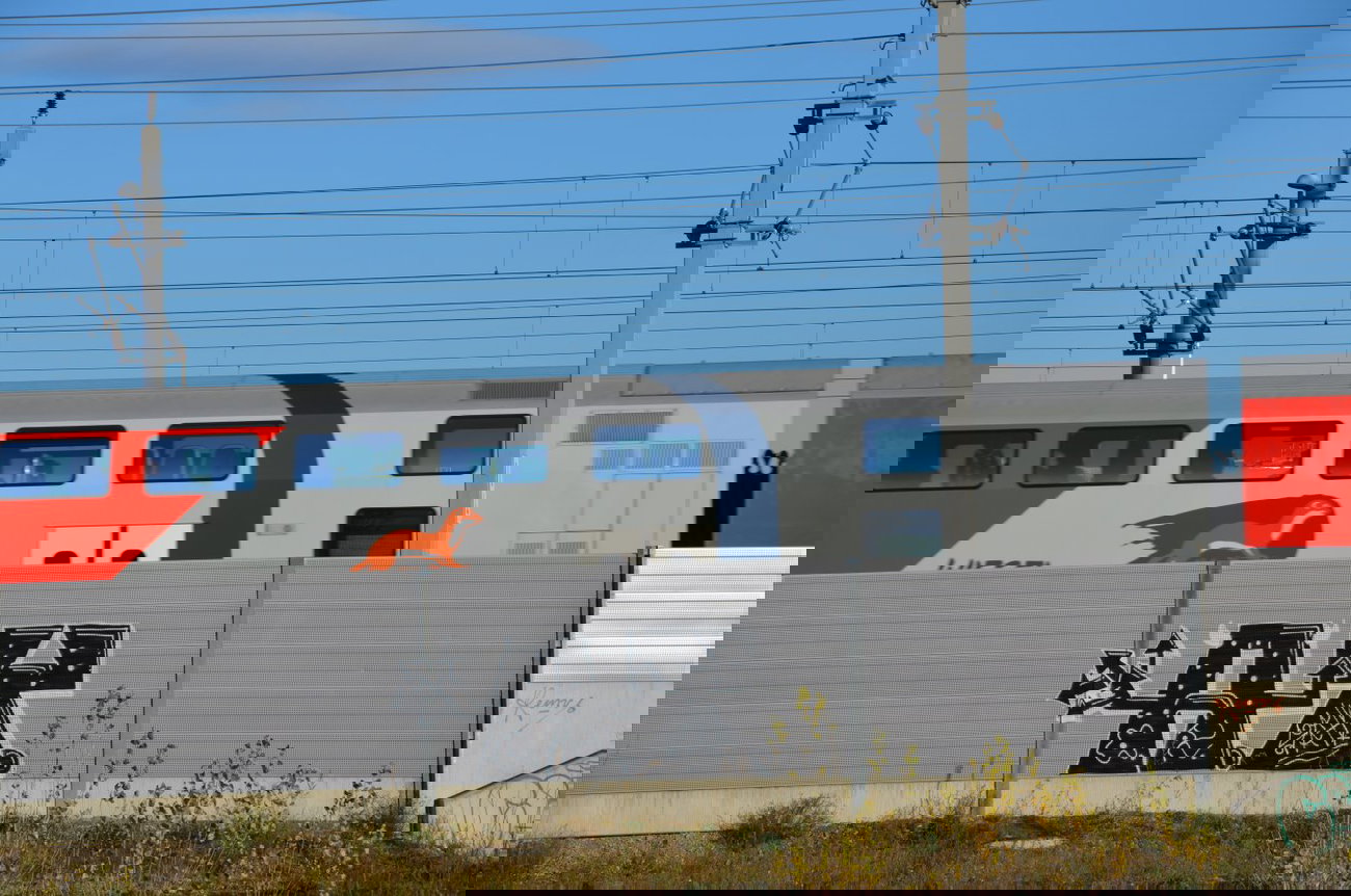 Graffiti Bombing in Vienna - Photo by Wolfneck - line, graffiti, ay