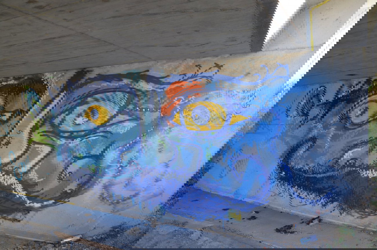 Graffiti Bombing in Vienna - Photo by Wolfneck - blue, face, character