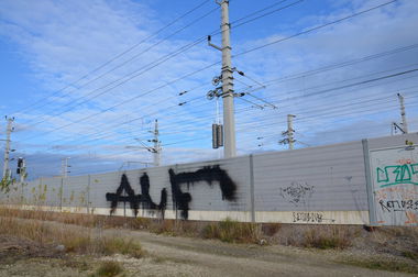 Graffiti Bombing in Vienna - Photo by Wolfneck - alf, graffiti, fire