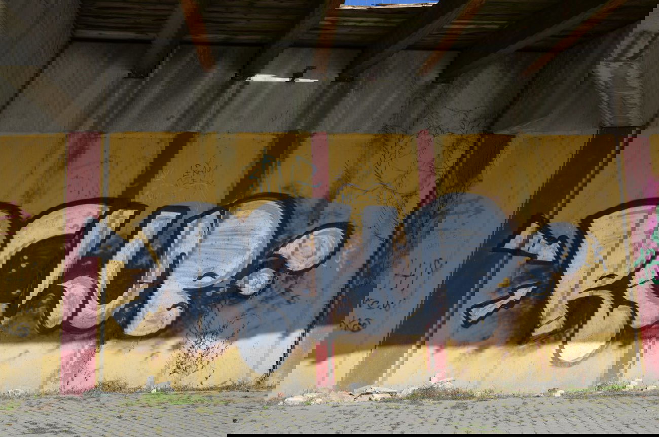 Graffiti Bombing in Vienna - Photo by Wolfneck - bombing, vienna, wien