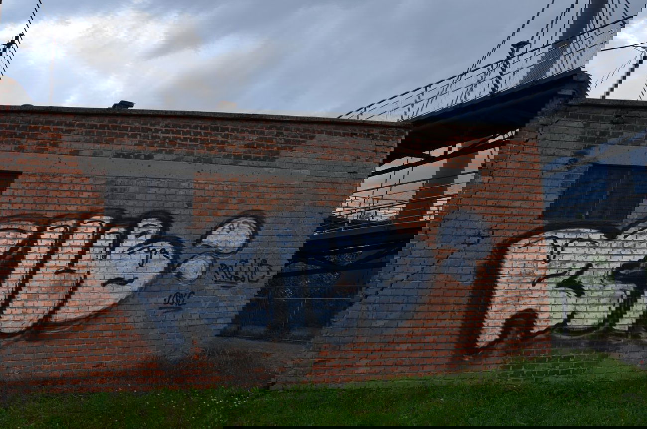 Graffiti Bombing in Vienna - Photo by Wolfneck - bombing, graffiti, vienna