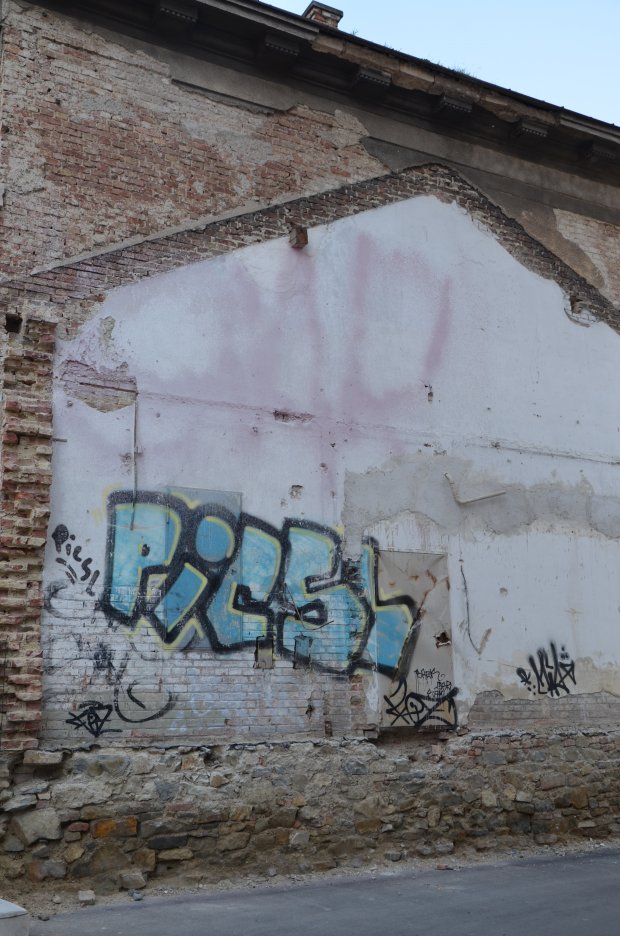 Graffiti Bombing in Vienna - Photo by Wolfneck - picsl, graffiti, vienna