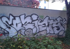 Photo #181883 by mick39