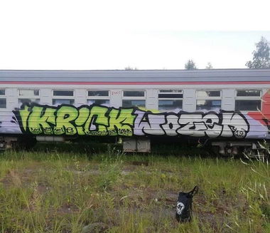 Graffiti Train - Photo by Wozer (2019)