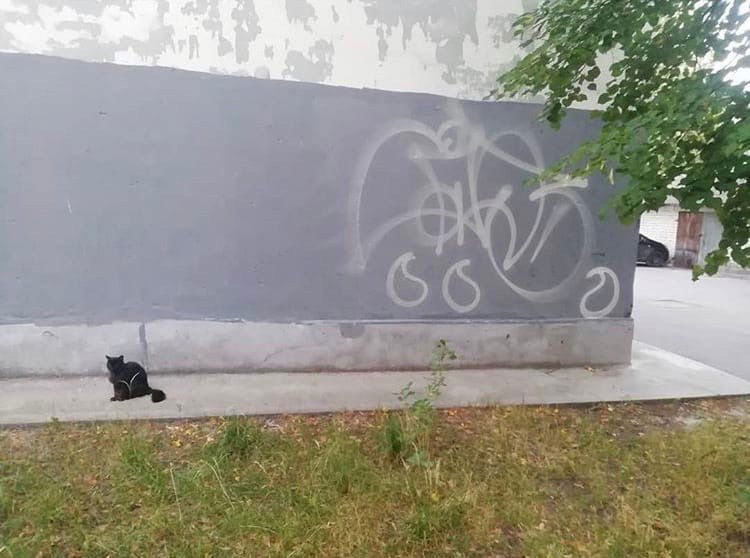 Graffiti Wall - Photo by Wozer - throwup, throwie (2019)