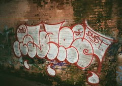 Photo #232118 by Kindergarten