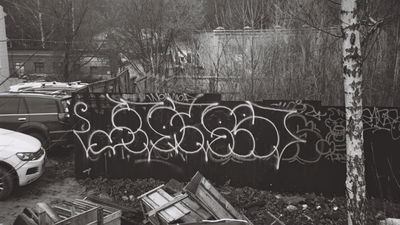 Most Active Members of November 2021