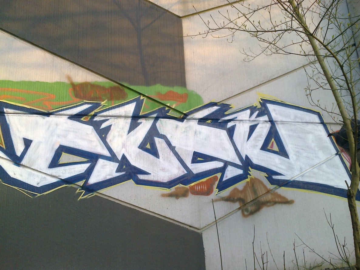 Graffiti Bombing - Photo by WurstUndKaese - Eker, rts, Gütersloh (2015)