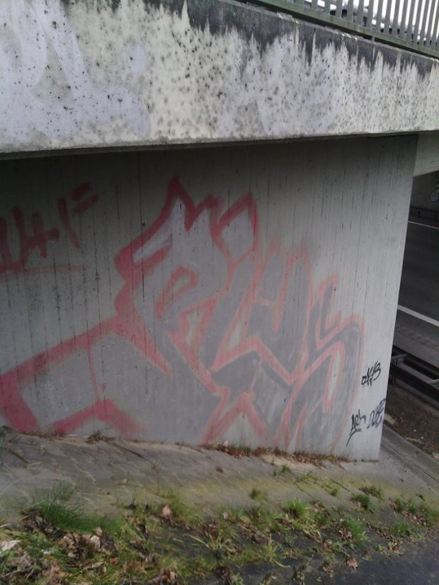 Graffiti Bombing - Photo by WurstUndKaese - Plus, Gütersloh (?)