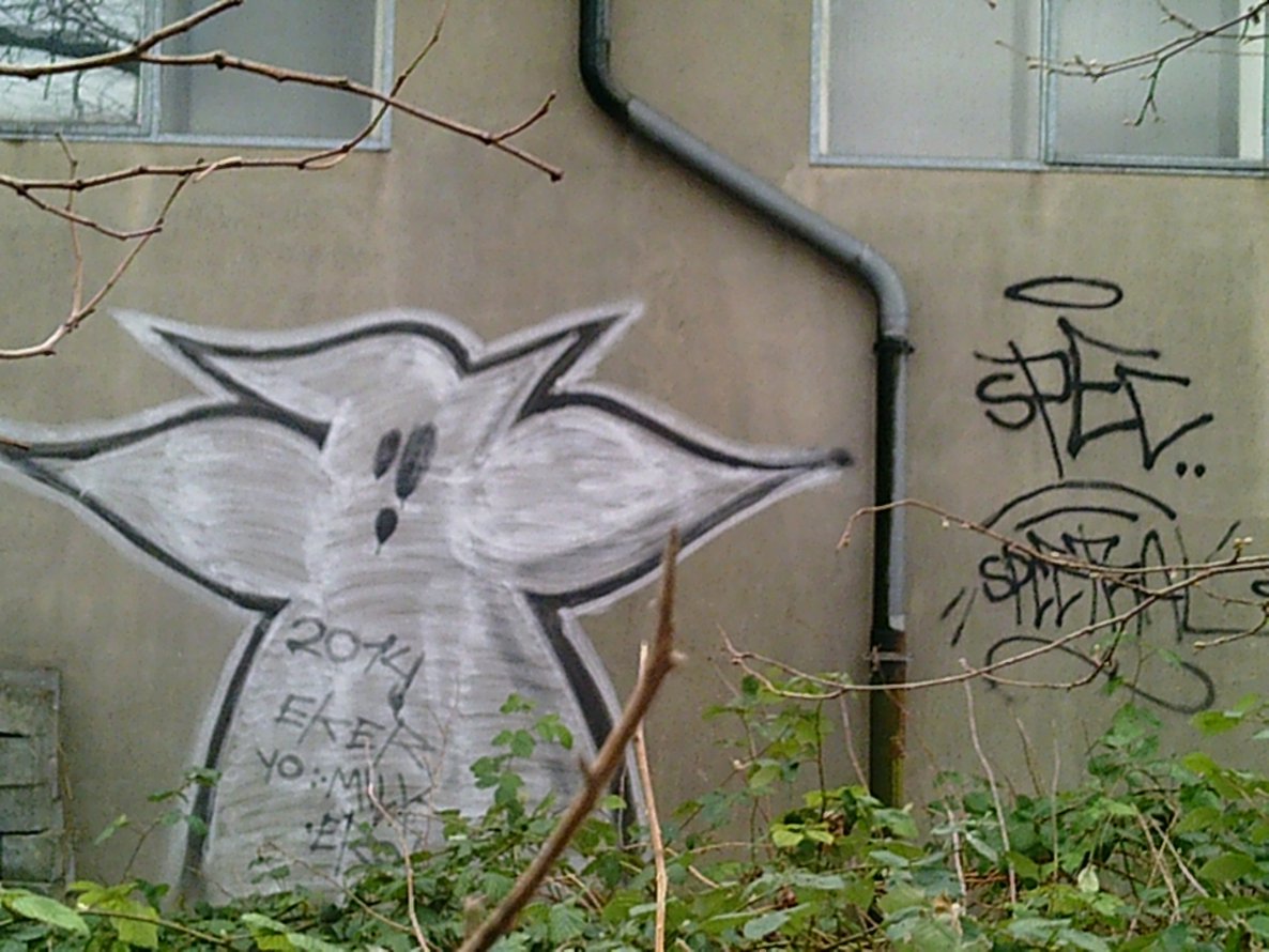Graffiti Bombing - Photo by WurstUndKaese - EKER, ghost, spectral (2014)
