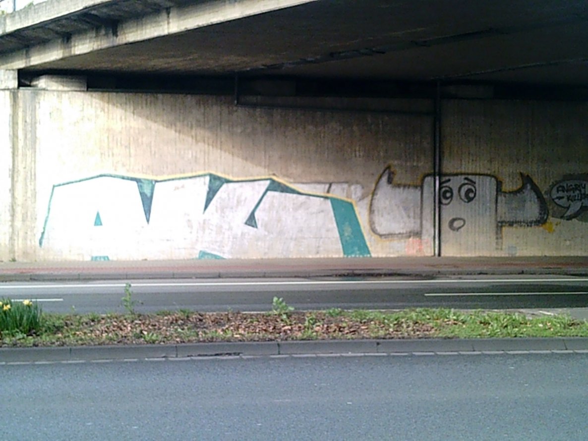 Graffiti Bombing - Photo by WurstUndKaese - AK, angry, killers