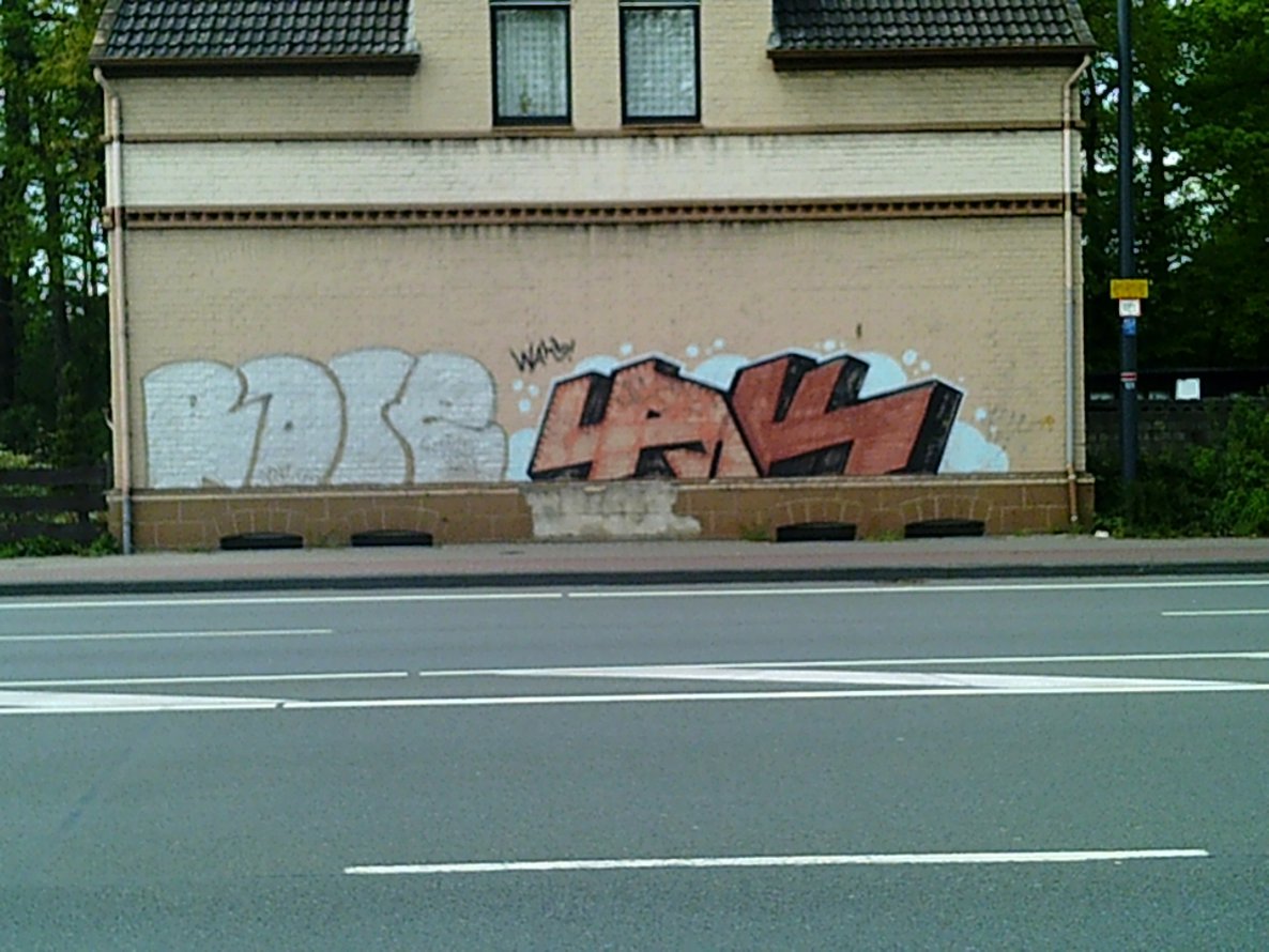 Graffiti Bombing - Photo by WurstUndKaese - Rose, Ak