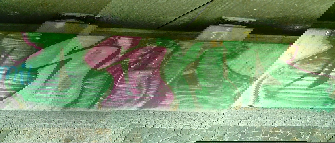 Graffiti Bombing - Photo by WurstUndKaese - OSKA