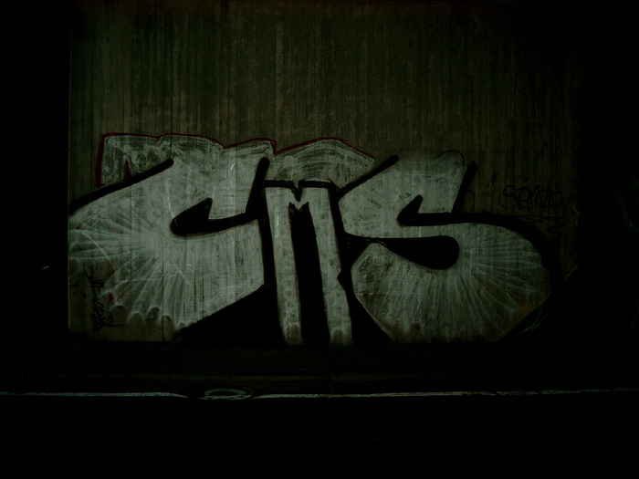 Graffiti Bombing - Photo by WurstUndKaese - cms