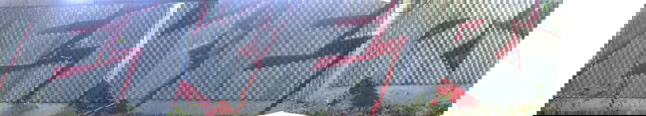 Graffiti Bombing - Photo by WurstUndKaese