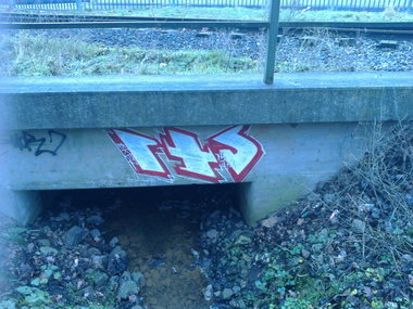 Graffiti Bombing - Photo by WurstUndKaese - Eker, Rts, Nsg (2014)