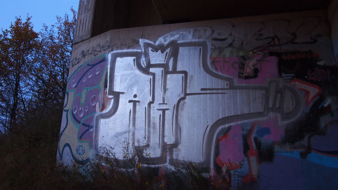 Graffiti Bombing - Photo by WurstUndKaese - AHS, Arthools, Eros