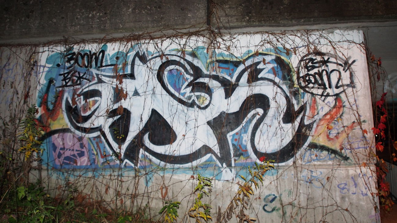 Graffiti Bombing - Photo by WurstUndKaese - Boom, Bsk