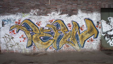 Graffiti Bombing - Photo by WurstUndKaese - Pern