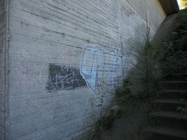 Graffiti Bombing - Photo by WurstUndKaese - Goe, Gop