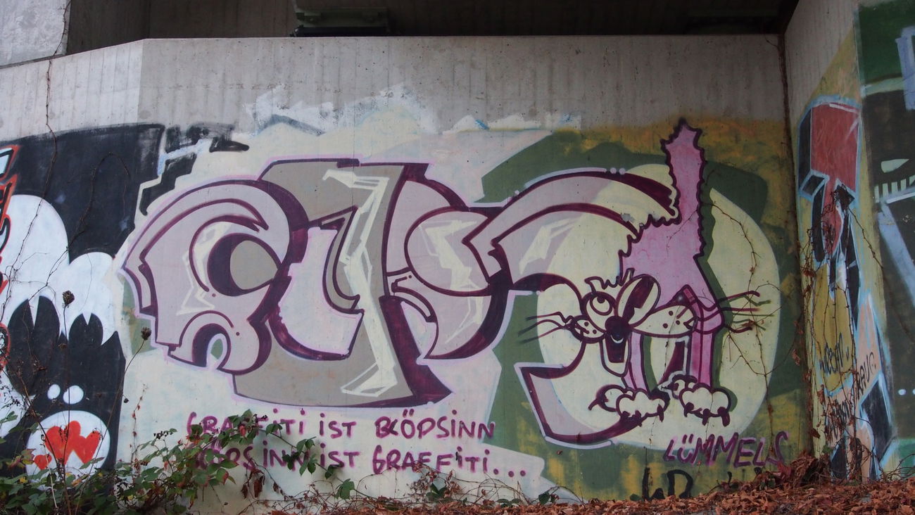 Graffiti Bombing - Photo by WurstUndKaese - Blöd, Tut