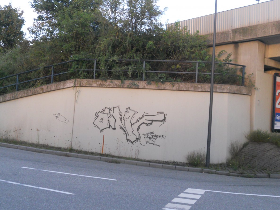 Graffiti Bombing in Heidelberg - Photo by Wurstfinger - heidelberg