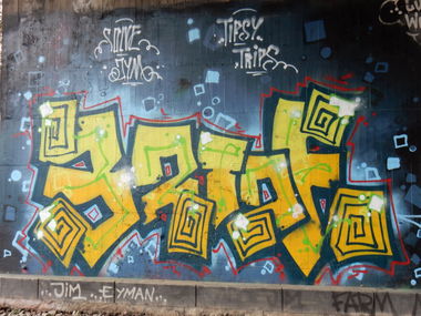 Graffiti Bombing - Photo by Wurstfinger - Heidelberg