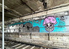 Photo #241235 by Kilo1