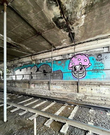 Graffiti Wall in Krasnodar - Photo by YBCREW (2024)