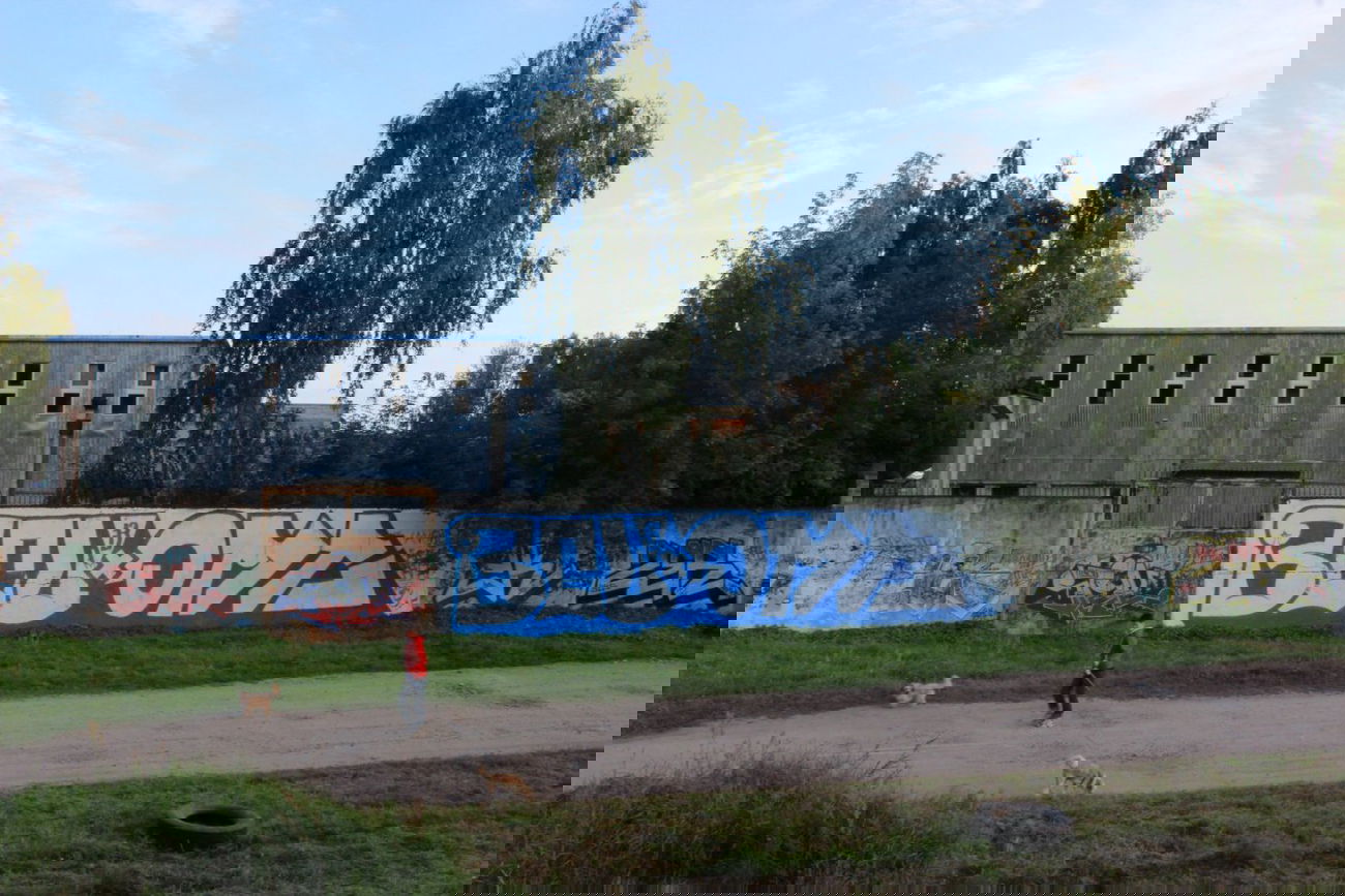 Graffiti Bombing - Photo by YOsup - odc, bcu (2014)