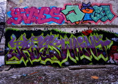 Photo #204380 by Verno