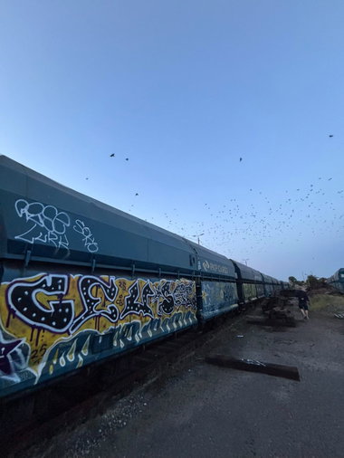 Graffiti Train in Gorzow - Photo by Ytho1 - ceu, sgc, lurk (2025)