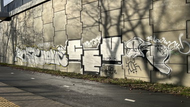 Graffiti Bombing in Wrocław - Photo by Ytho1 - rose, vbk, ceu (2025)
