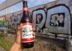 Photo #7910 by 19xllls