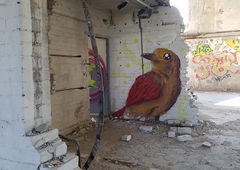 Photo #232903 by Belt